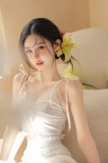 中国驻英国讲话人13